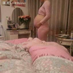 胚胎日记（孕爱实验室）,揭秘胚胎日记中的孕爱实验室